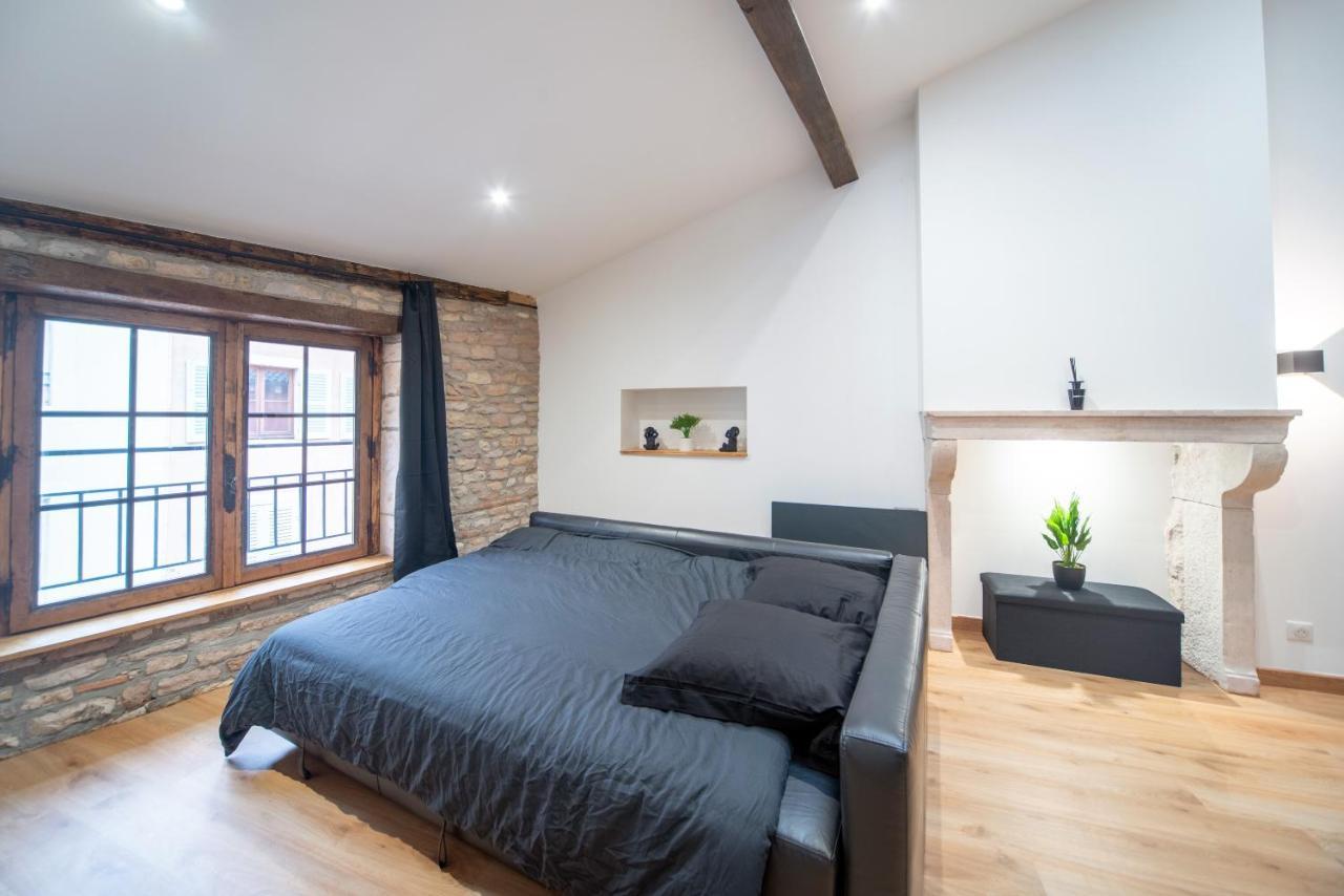 Loft Au Coeur Du Centre Ville Mâcon Buitenkant foto